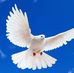 Gabriel Etienne - Facebook