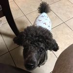 Gabriel Feldman - @gfeldman_16 - Instagram