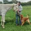 Floyd Gabriel - @floyd.gabriel - TikTok