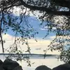 gabrielfreya11 - @gabrielfreya11 - TikTok