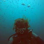 Gabriel Gamache - @gabthediver - Instagram
