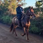 Gabriel Gianini Leme - @ga_gianini - Instagram