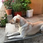 Gabriel Giner Serrano - @ginerserrano - Instagram