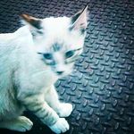 Gabriel Gould - @gould.gabriel - Instagram