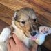 Gabriel Granger - Facebook