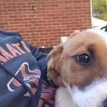 Gabriel graves - @bubs1299 - Instagram