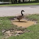 Gabriel Graves - @gabriel.graves.14 - Instagram