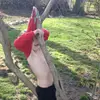 Gabriel - @gabrielgreen1101 - TikTok