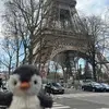 gabrielgreen87 - @gabrielgreen87 - TikTok