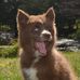 Gabriel Greer - Facebook