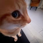 Gabriel Graham - Facebook