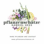 Pflanzenschätze Gabriel Hess - @pflanzenschaetze.ch - Instagram