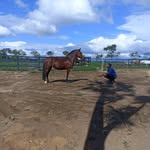 Gabriel🙌🏽 - @_gabriel_horse - Instagram