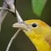 gabrielhodge06 - @gabrielhodge06 - TikTok