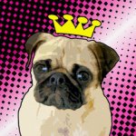 Gabriel Holman - @pugprincess23420 - Instagram