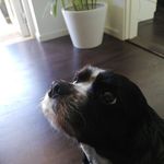 Gabriel Holman - @gabriel.holman.1293 - Instagram