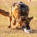 Gabrielle Houck - Facebook