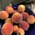 Gabriel Hull - @subsistent_farmer - Instagram
