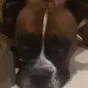 GabrielaHull - @juliaqvzlv8 - TikTok