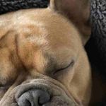 Gabriel Hurst - @gabrielhurst32 - Instagram