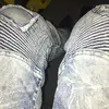 Gabriel Irving - @gabriel.irving89 - TikTok