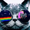 Gabriel-Jj003 - @gabrieljaquez0 - TikTok