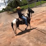 Gabriel Jefferson - @gabriel.biel037 - Instagram