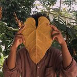 Gabriel Jeronimo - @gab.jeronimo - Instagram