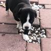 Gabriel Jeronimo - @user4300428096828 - TikTok