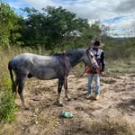 Gabriel Junior - @gaah_junior_244 - Instagram