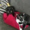gabrielkatz745 - @gabrielkatz745 - TikTok