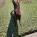 Gabriel Keys - Facebook