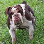 Gabriel Keys - @keys1181 - Instagram