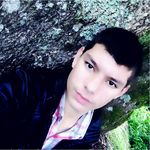 Bruno Gabriel Kirsch - @brunogabrielkirsch - Instagram