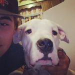 Gabriel Knowles - @13gabrielknowles - Instagram