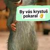 Gabriel Kora - @gabriel.kora - TikTok