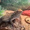 Gabrielle.Krause - @gabrielle.krause - TikTok