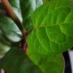 Gabriel Lapointe - @gabriel.lapointe.948 - Instagram