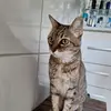 Gabriel Lasry - @bensry23 - TikTok