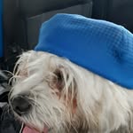 Gabriel Lawless - @ganriel_lawless - Instagram