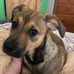 Gabriel Leclair - @leclair.gabriel - Instagram