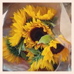Gabriel Ledbetter - @malcoebac - Instagram