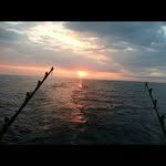Gabriel Legay - @captain2fish - Instagram