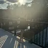 Gabby - @gabriellalevan - TikTok