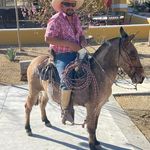 Gabriel Lomeli - @gabriellomeli37 - Instagram