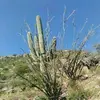 Gabriel Lopez - @gabriel.lopez0439 - TikTok