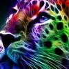 gabriellorenz793 - @gabriellorenz793 - TikTok