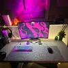 gabriel.magee060611 - @gabriel.magee060611 - TikTok