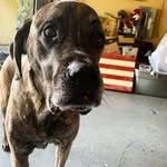 Gabriel Malcolm - @chukkie.chucks.71 - Instagram