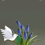 Gabriel Manuel - Facebook